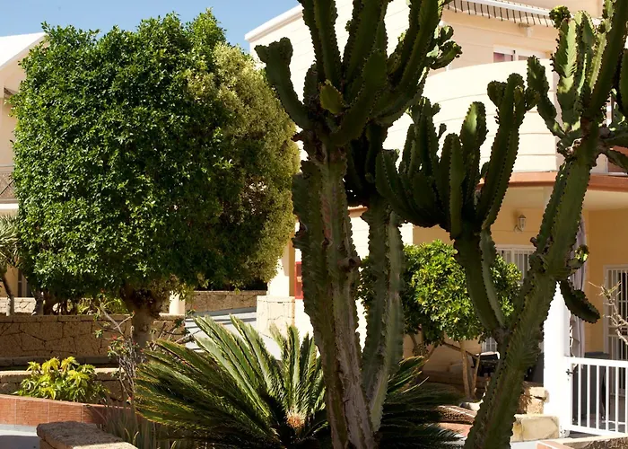 Park For Beautifully Located * Costa Adeje (Tenerife)